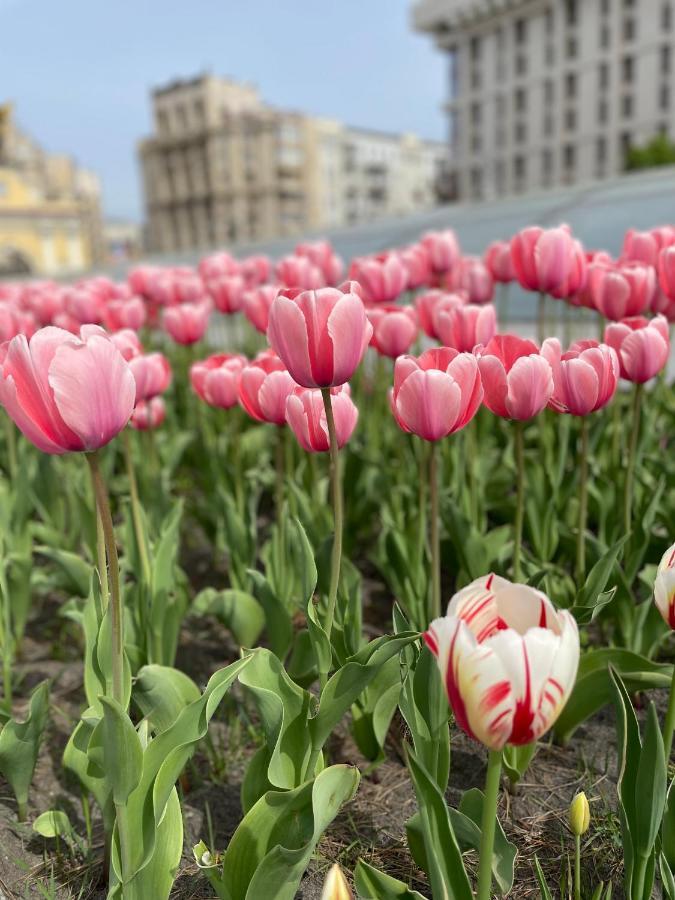 Однокімнатні Апартаменти На Майдані, Дистанційне Заселення 24Х7 Kijów Zewnętrze zdjęcie